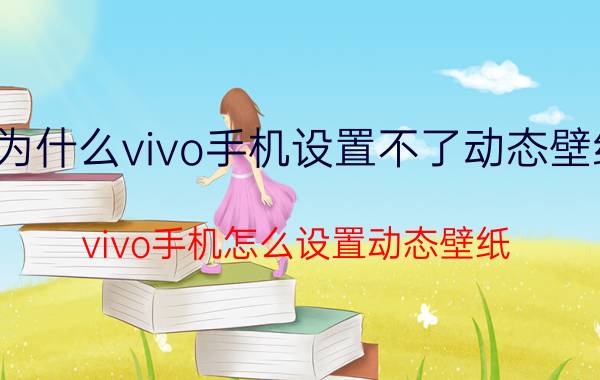 为什么vivo手机设置不了动态壁纸 vivo手机怎么设置动态壁纸？